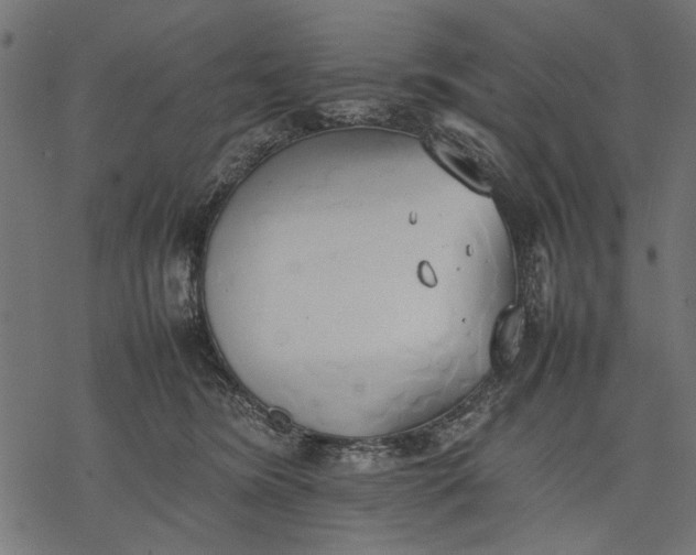 X0000077280420200611031530