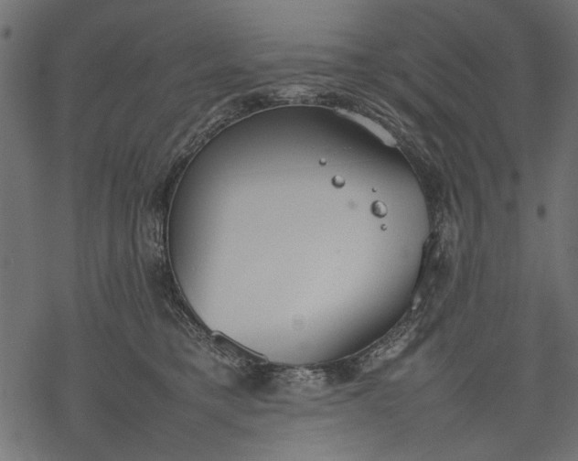 X0000077280421200611031530