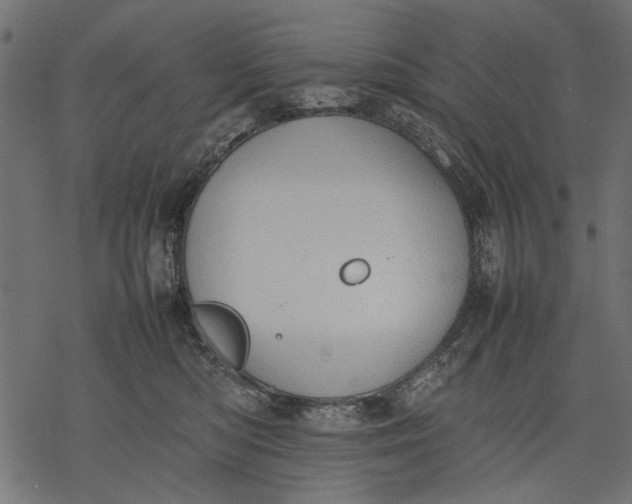 X0000077280422200611031530