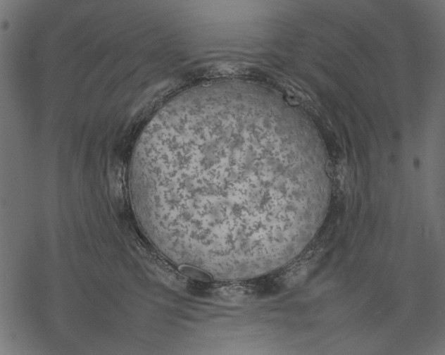 X0000077280423200611031530