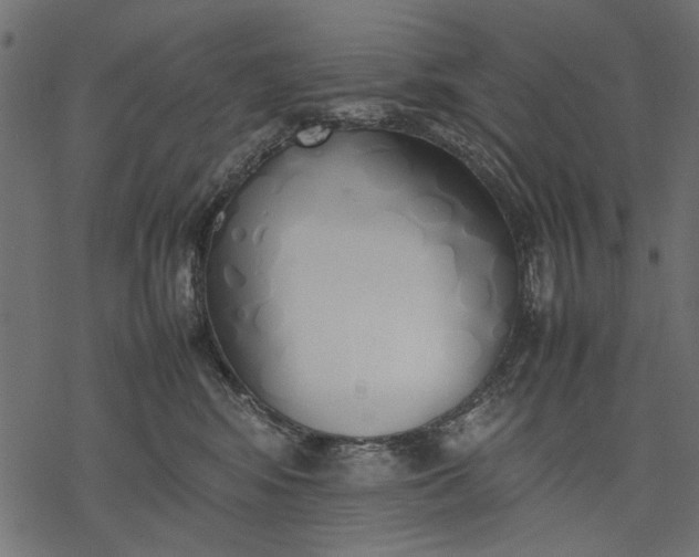 X0000077280424200611031530