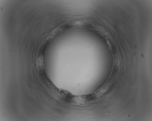 X0000077280425200611031530