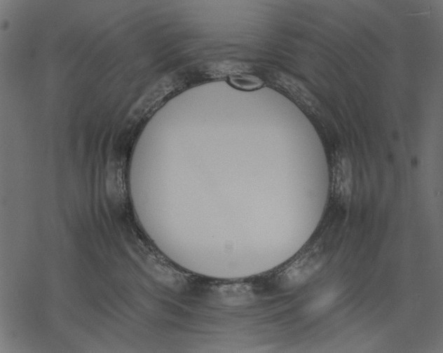 X0000077280426200611031530