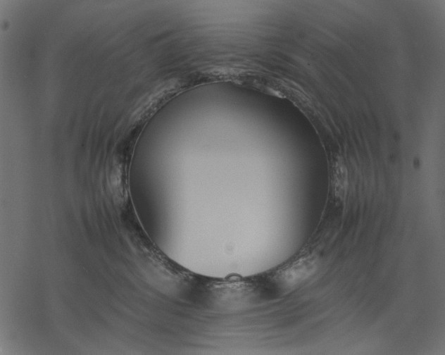 X0000077280428200611031530