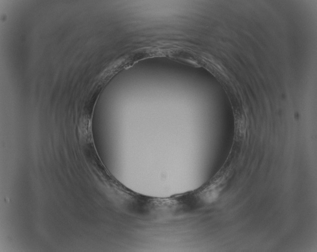 X0000077280429200611031530