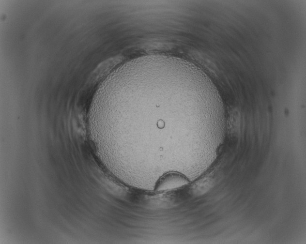 X0000077280430200611031530