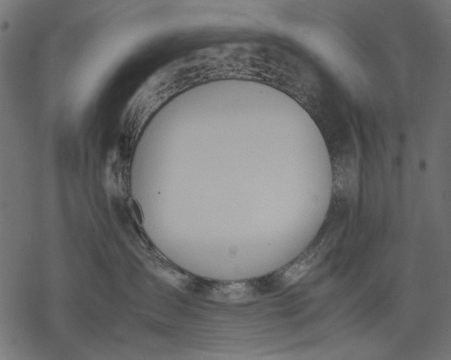 X0000077280431200611031530