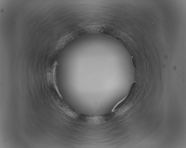 X0000077280432200611031530