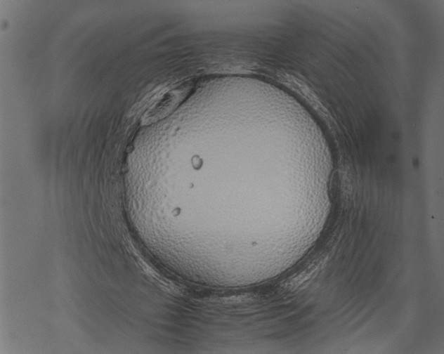 X0000077280433200611031529