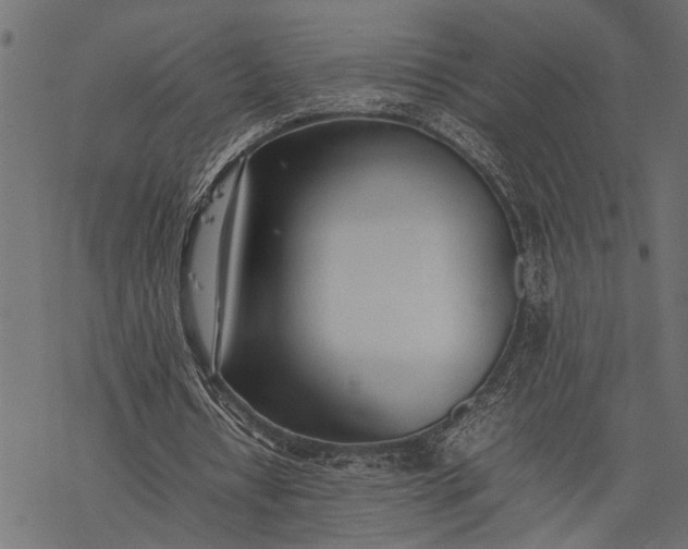 X0000077280434200611031529