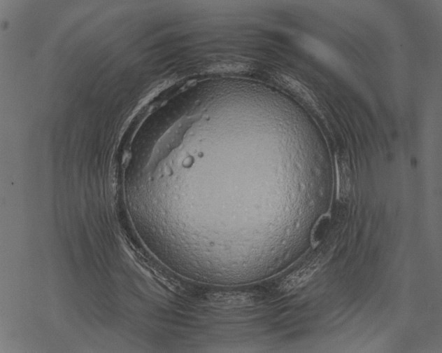 X0000077280435200611031529