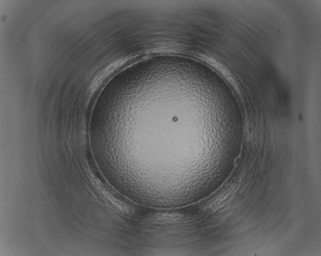 X0000077280437200611031529