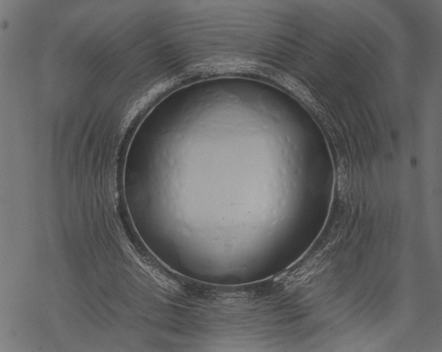 X0000077280438200611031529