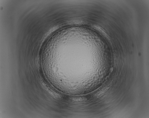 X0000077280439200611031529