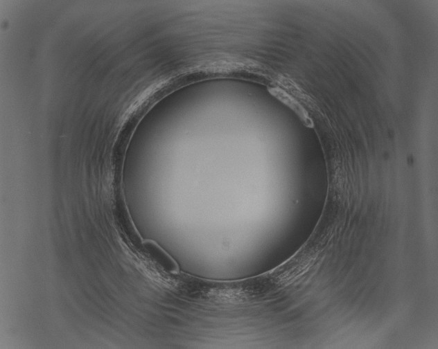 X0000077280440200611031529