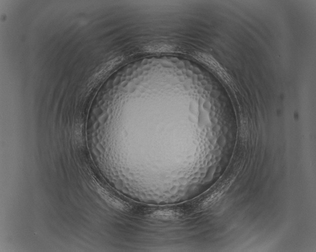 X0000077280441200611031529