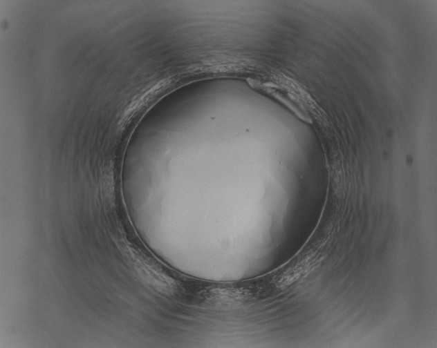 X0000077280442200611031529