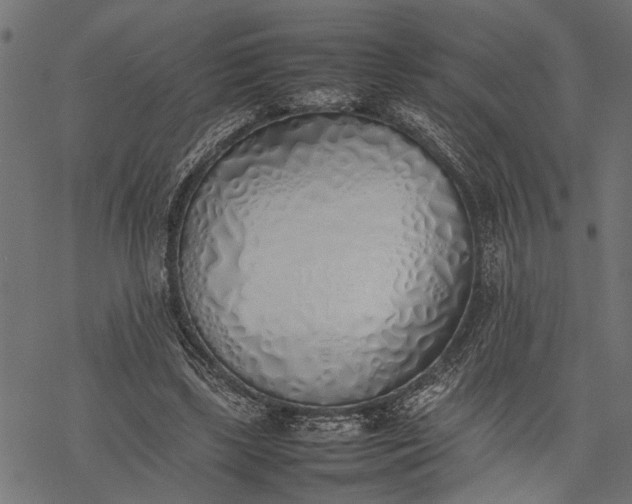 X0000077280443200611031529