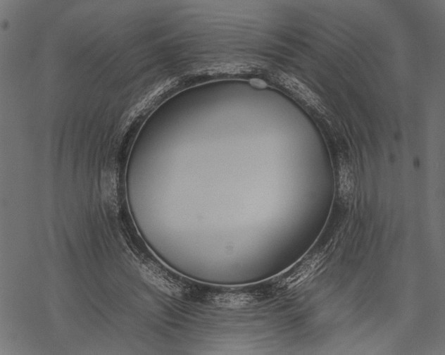 X0000077280444200611031529