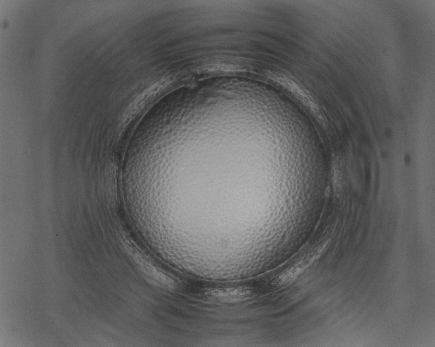 X0000077280445200611031529