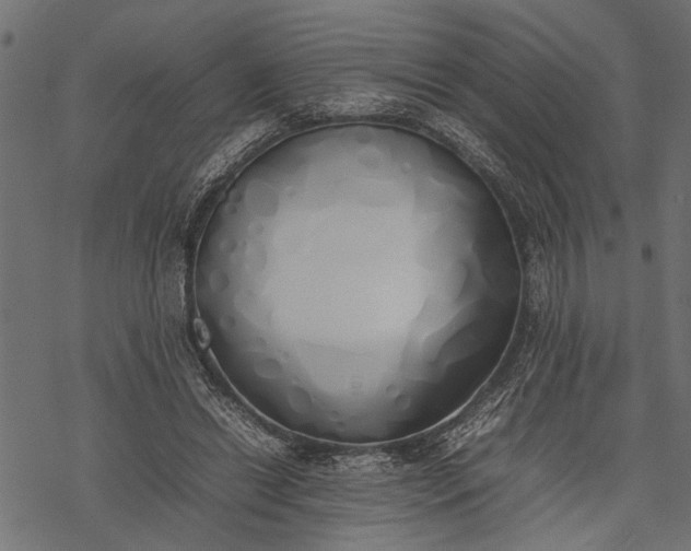 X0000077280446200611031529