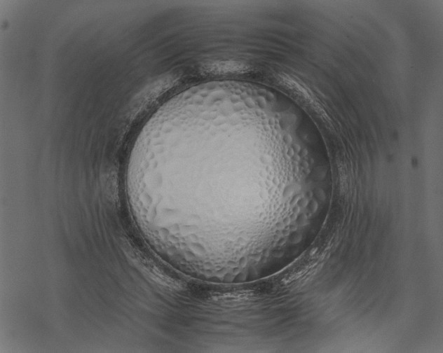 X0000077280447200611031529