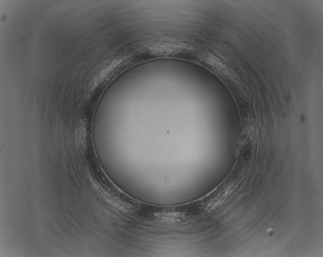 X0000077280448200611031529