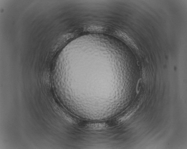 X0000077280449200611031529