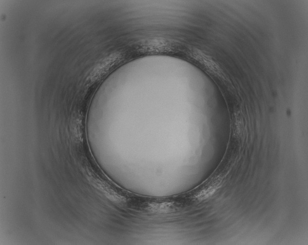 X0000077280450200611031529