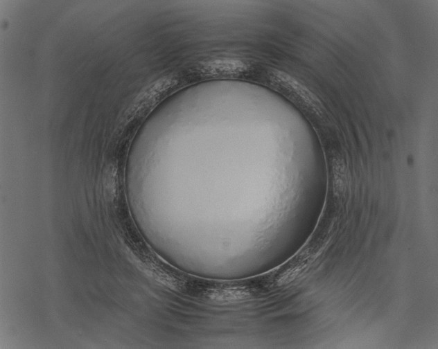 X0000077280451200611031529