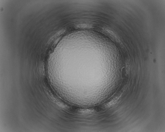 X0000077280453200611031529