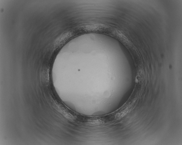 X0000077280454200611031529