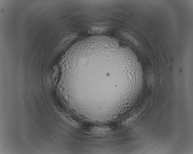 X0000077280455200611031529