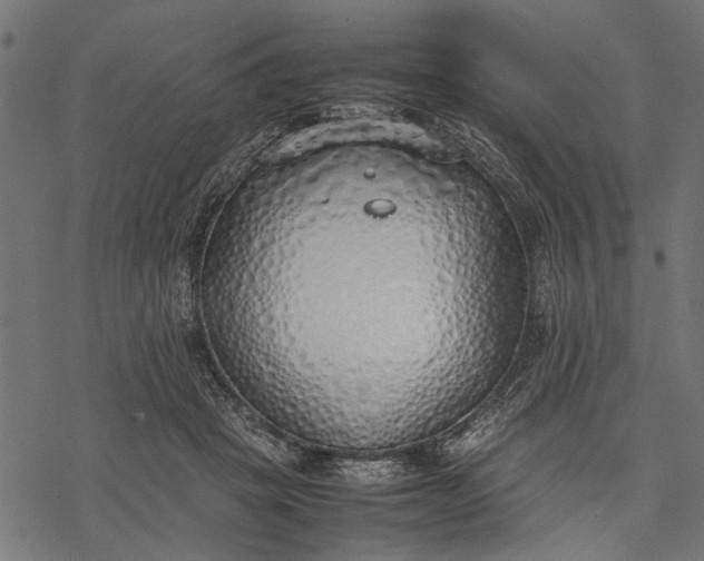 X0000077280457200611031529