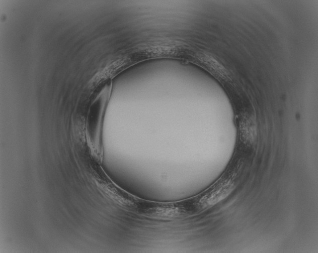 X0000077280458200611031529