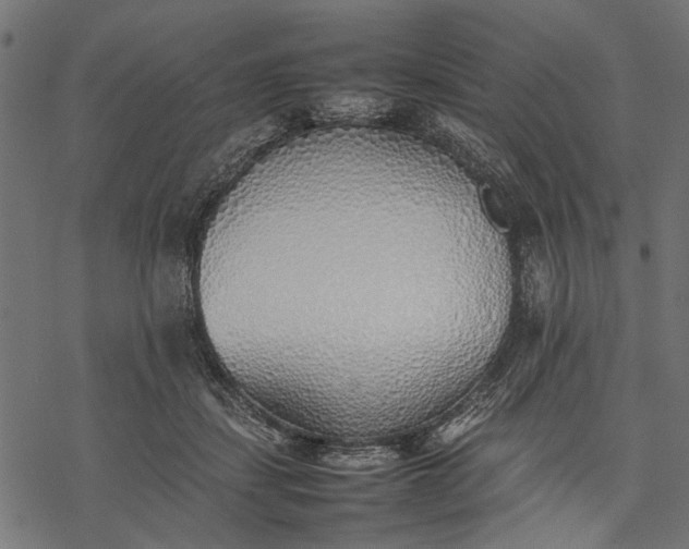 X0000077280459200611031529