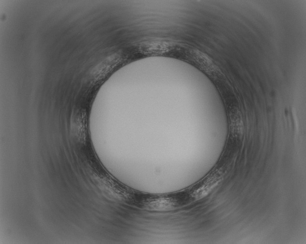 X0000077280460200611031529