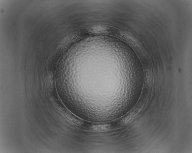 X0000077280461200611031529