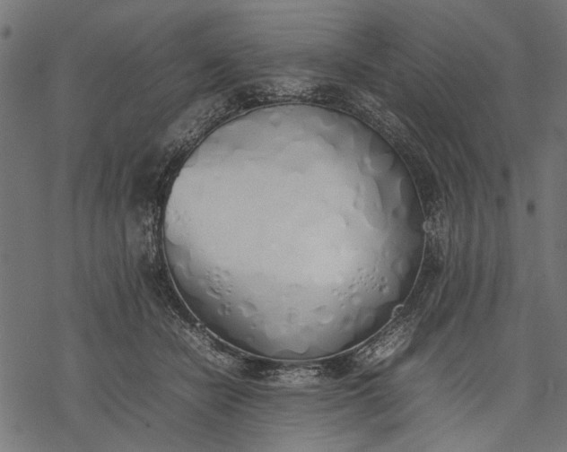 X0000077280462200611031529