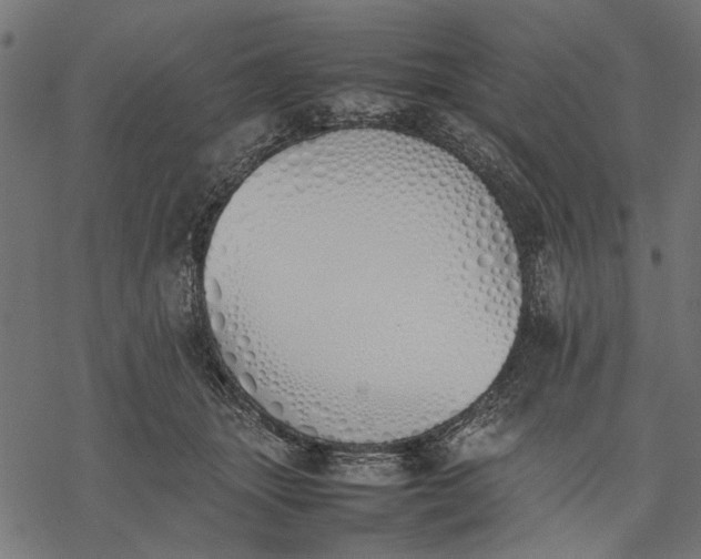 X0000077280463200611031529