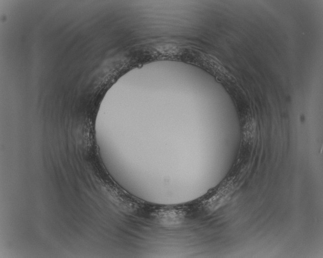 X0000077280464200611031530