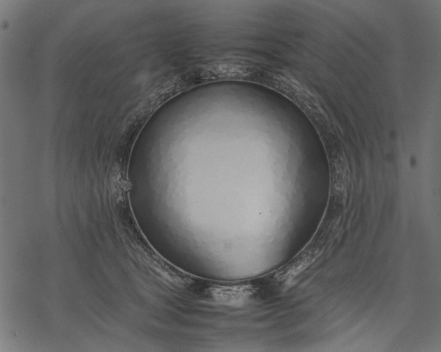 X0000077280465200611031530