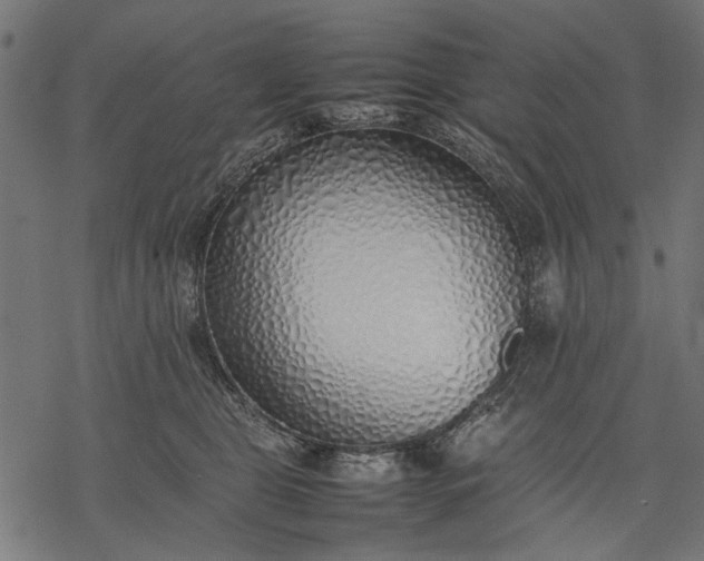 X0000077280469200611031530