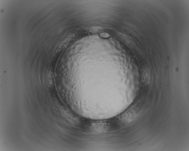 X0000077280470200611031530