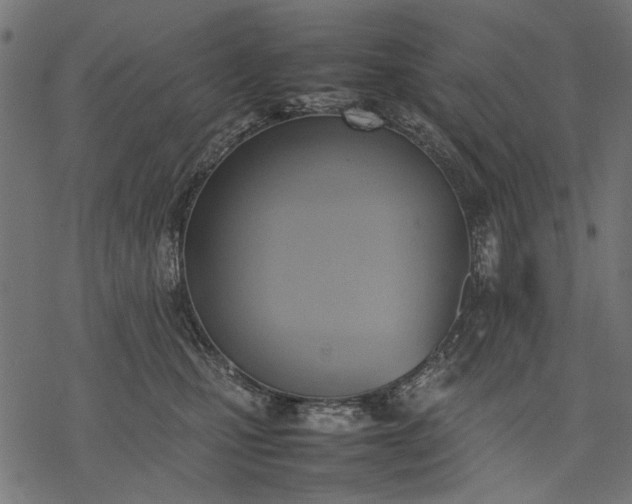 X0000077280471200611031530