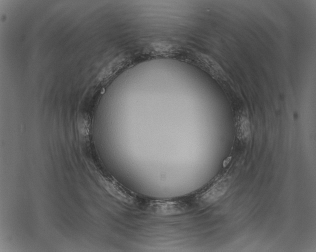 X0000077280472200611031530