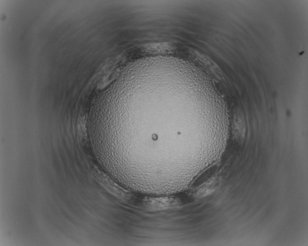 X0000077280473200611031530