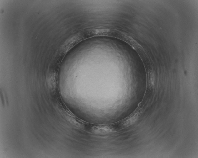 X0000077280475200611031530