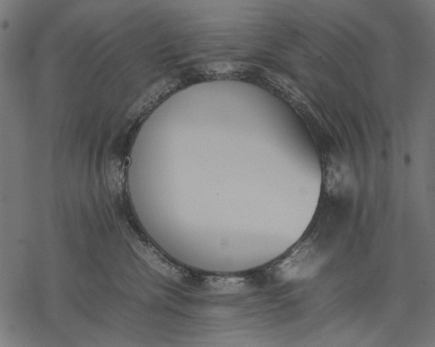 X0000077280476200611031530