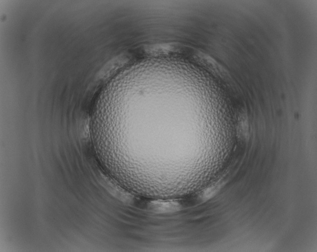 X0000077280477200611031530